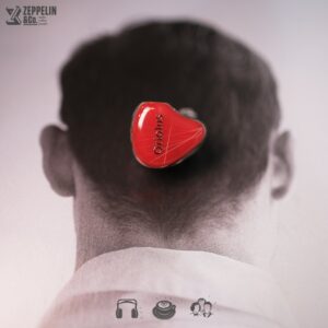 Oriolus Traillii JP UIEM